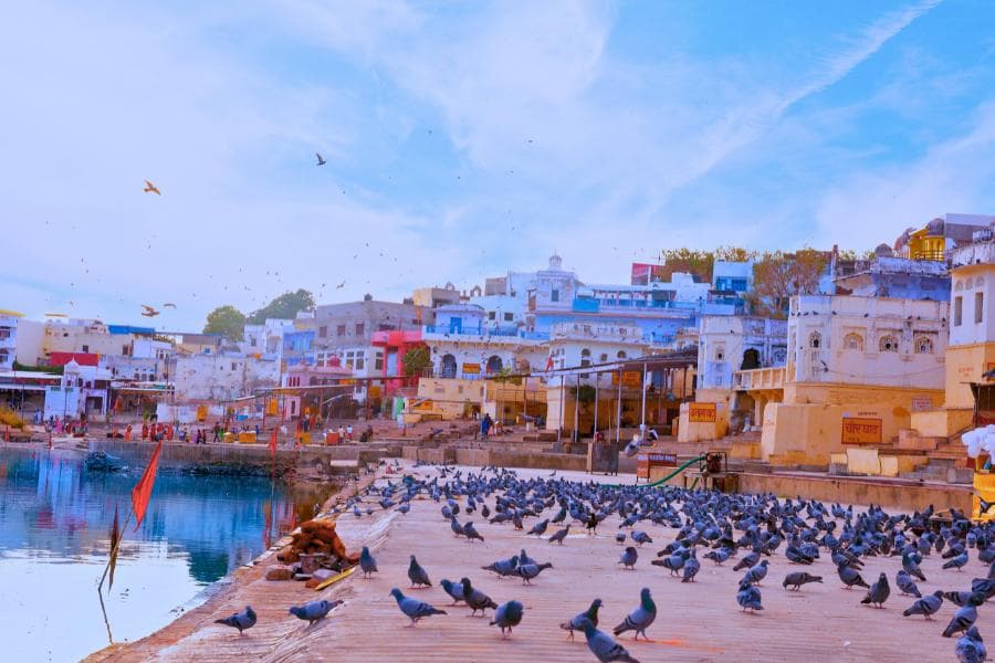 From Delhi: 5 Days Golden Triangle Tour with Pushkar